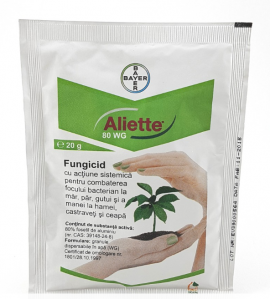 ALIETTE 80 WG 20 G