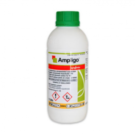 AMPLIGO - 1L