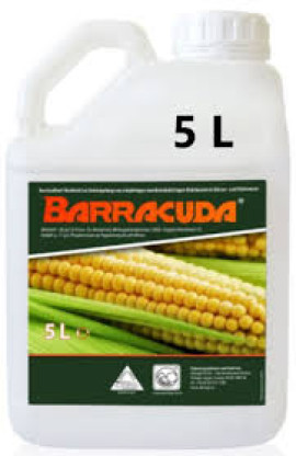 BARRACUDA 5L