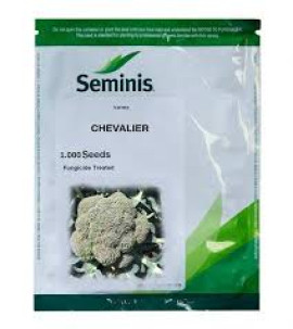 BROCCOLI CHEVALIER F1 1.000 SEMINTE