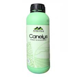 CANELYS 1L