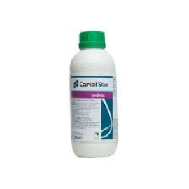 CARIAL STAR 1L