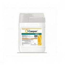 CASPER 1KG