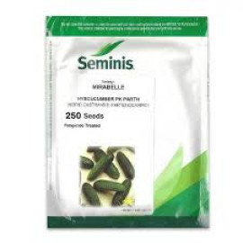 CASTRAVETI MIRABELLE F1 CORNICHON 250 SEMINTE
