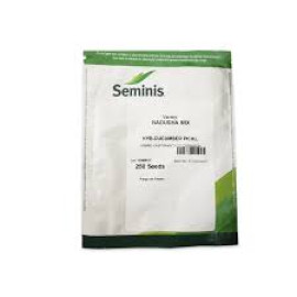 CASTRAVETI NADUSHA F1 CORNICHON 250 SEMINTE