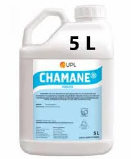CHAMANE 5L