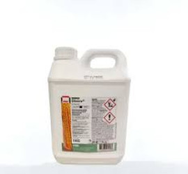 DINIRO 1KG