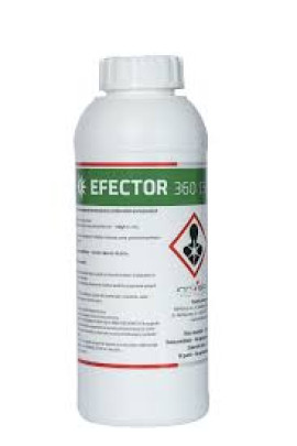 EFECTOR 360 CS (1L, 5L)