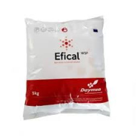 EFICAL WSP (1KG, 5KG)