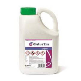ELATUS ERA 5 L