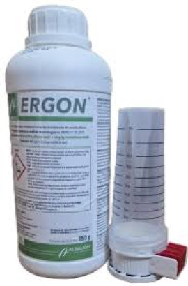 ERGON 300gr