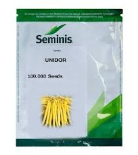 FASOLE DE GRADINA UNIDOR (5.000, 50.000 100.000 SEMINTE)