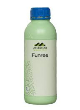 FUNRES 1L
