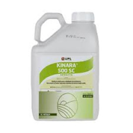 KINARA 5L