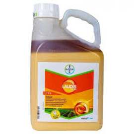 LAUDIS 66 OD 5L