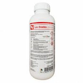 LOS OVADOS 1L