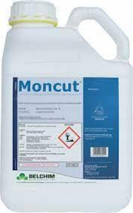 MONCUT 5L