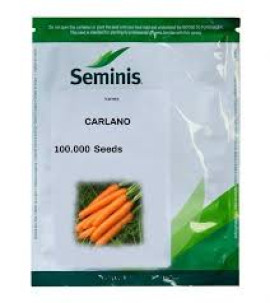 MORCOV CARLANO F1 100.000 SEMINTE