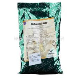NATURVITAL WSP 1KG