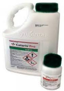 PACHET CALARIS PRO 5L + FIX PRO 250ml