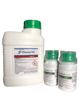 PACHET CHORUS 1KG + SCORE 500ml