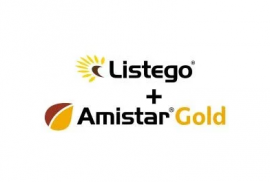 PACHET LISTEGO 30L + AMISTAR GOLD 25L