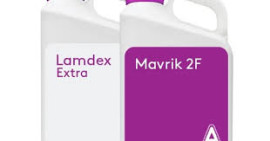 PACHET MAVRIK EXTRA (10L MAVRIK + 15KG LAMDEX EXTRA)