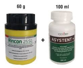 PACHET RINCON 25 SG (ASYSTENT 60gr, 300gr)