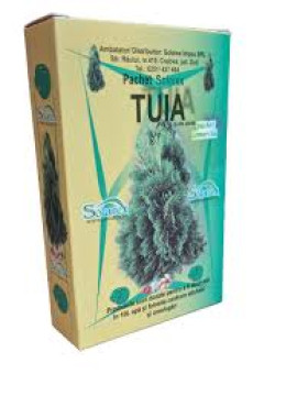 PACHET TUIA SI ALTE PLANTE PENTRU 10L APA
