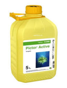 PICTOR ACTIVE 5L