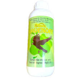 RAVENOFF 1L