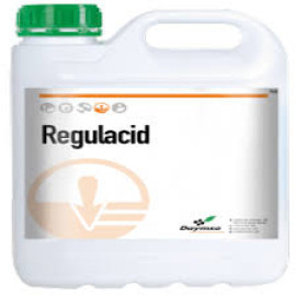 REGULACID 5L