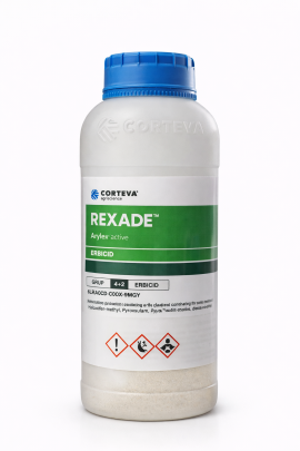 REXADE 500gr
