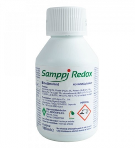 SAMPPI - 100ML R