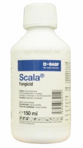 SCALA - 150ML R