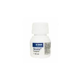 SCALA (20ml, 1L)