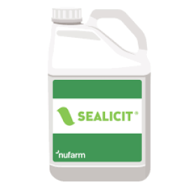 SEALICIT 1L