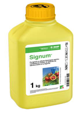 SIGNUM 1 KG