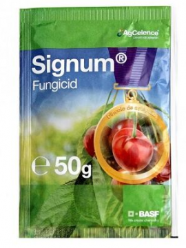 SIGNUM 50 G