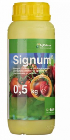 SIGNUM - 500 GR