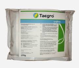 TAEGRO 370gr