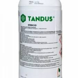 TANDUS (1L, 5L)