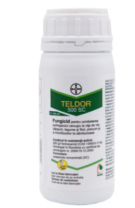 TELDOR 500 SC 100 ML