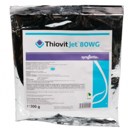 THIOVIT JET 80 WG - 300G R