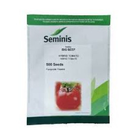 TOMATE BIG BEEF F1 (100, 500 SEMINTE)