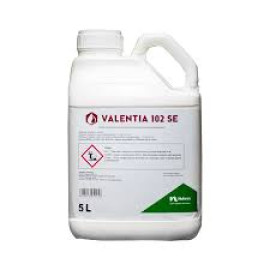 VALENTIA 5L