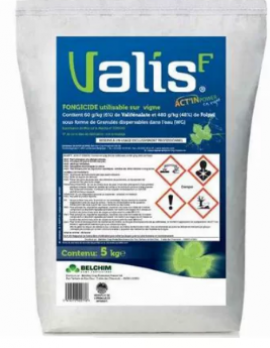 VALIS F 5 KG