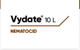 VYDATE 10 L 