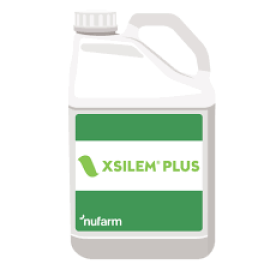 XSILEM PLUS (1L, 10L)