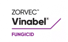 ZORVEC VINABEL - 500ML